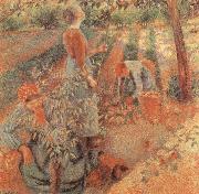 Camille Pissarro Apple picking painting